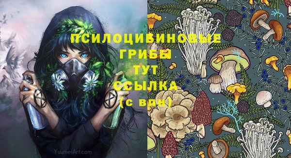 кристаллы Осинники