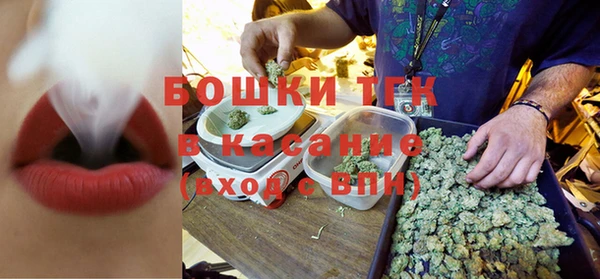 индика Сибай