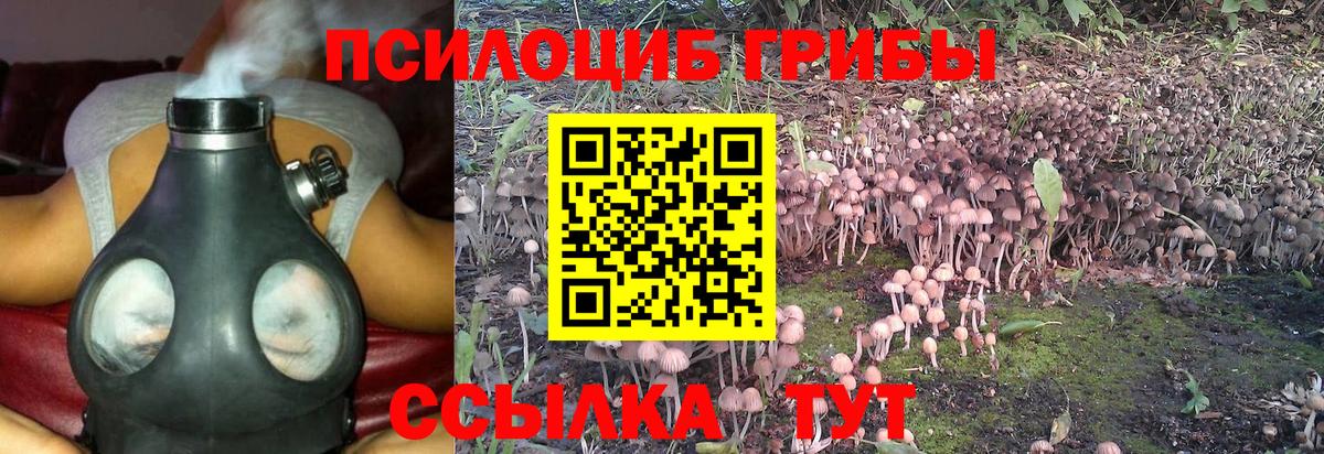 Псилоцибиновые грибы прущие грибы Кувандык